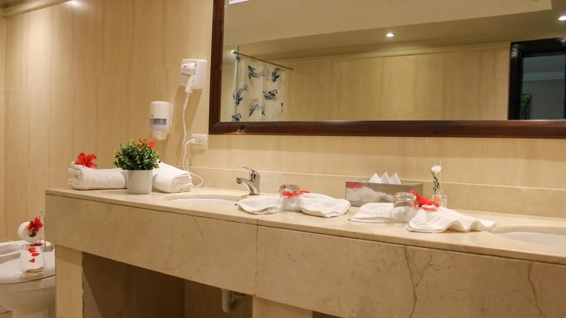 פונטה קאנה Hotel Plaza Brisas Mt