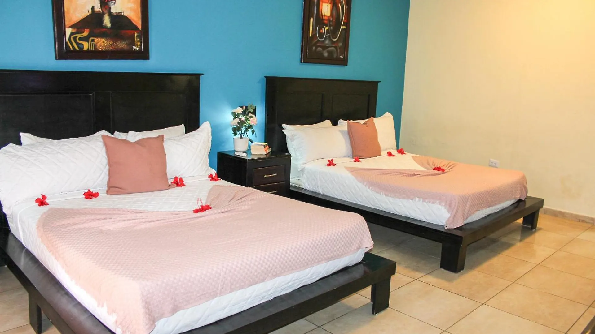 Hotel Plaza Brisas Mt Punta Cana 3*,
