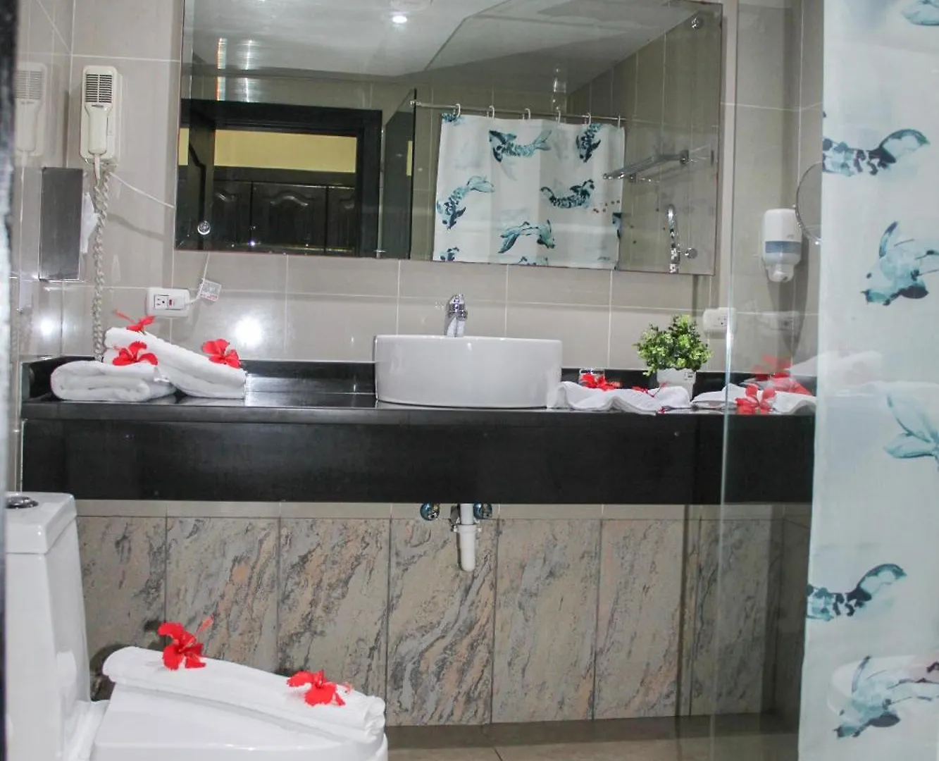 ***  Hotel Plaza Brisas Mt Punta Cana Dominicaanse Republiek