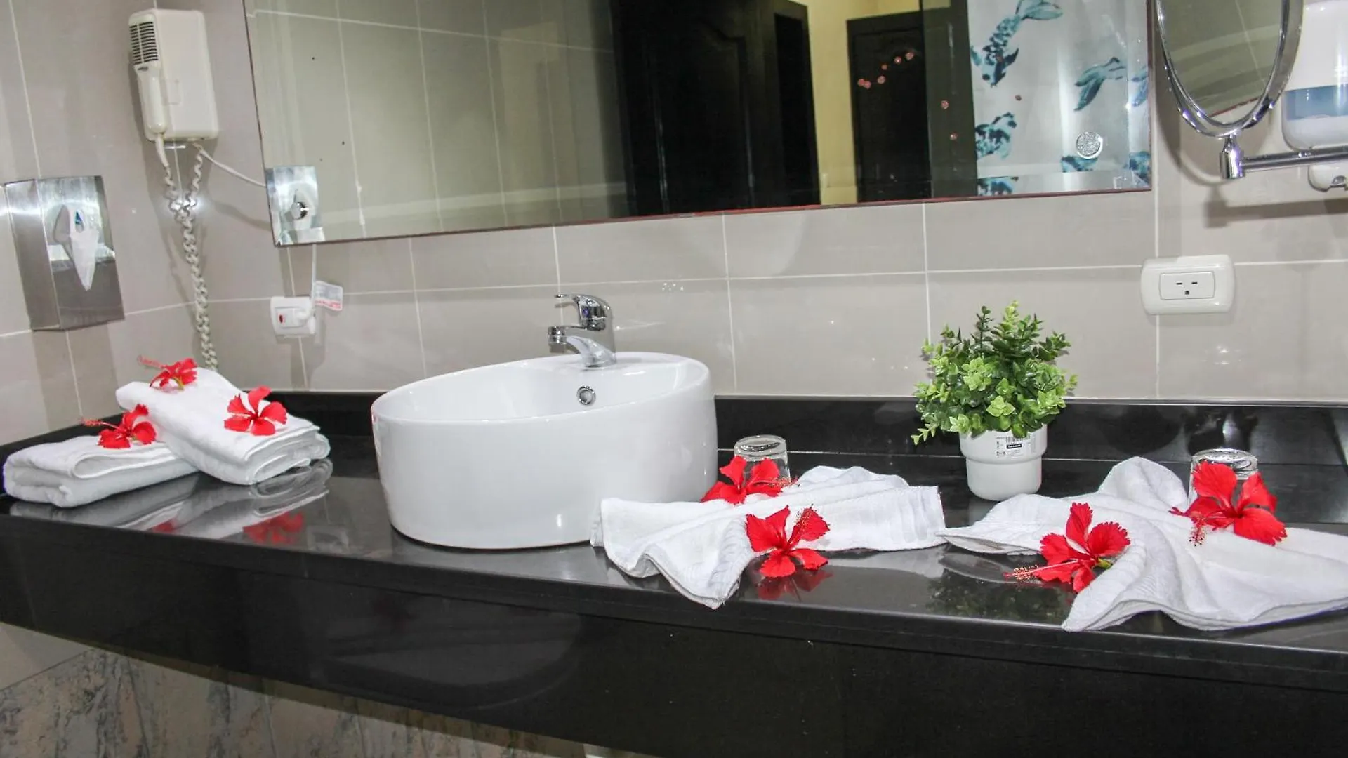 Hotel Plaza Brisas Mt Punta Cana