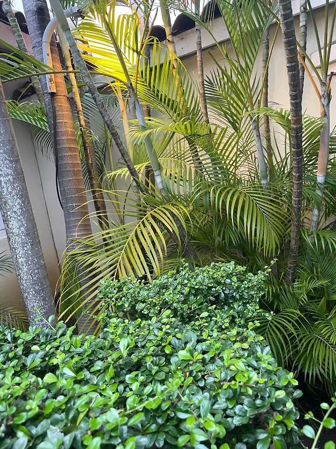 Hotel Plaza Brisas Mt Punta Cana