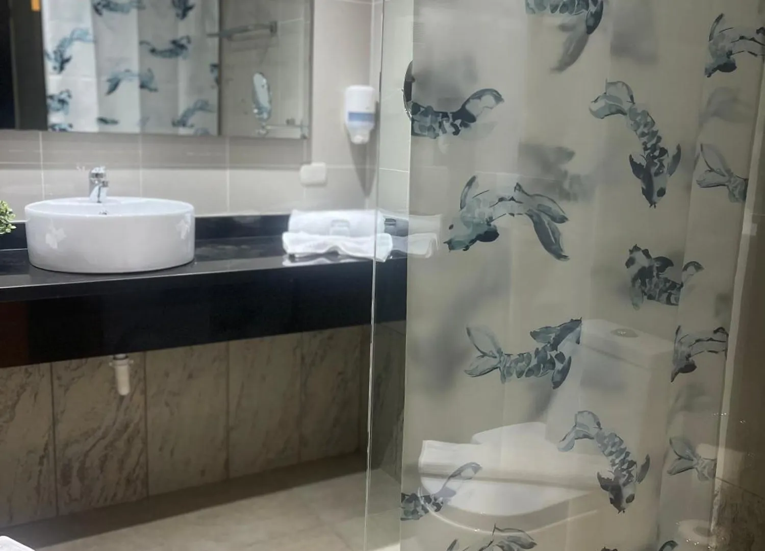 Hotel Plaza Brisas Mt Punta Cana