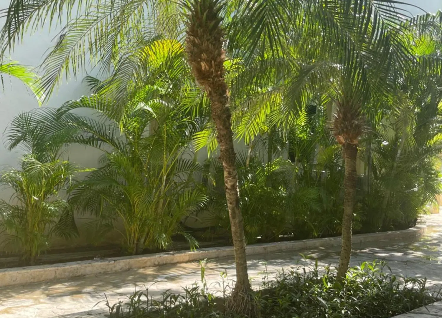 Hotel Plaza Brisas Mt Punta Cana
